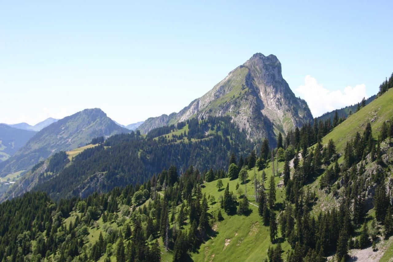 Chalet Latitude 47 Chatel